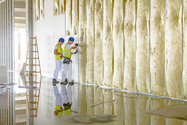 Best Residential Insulation in Carthage, TN